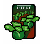 Lettuce Tshirts