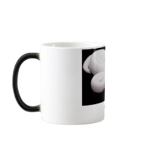 Leucistic Ball Python Mug # 2