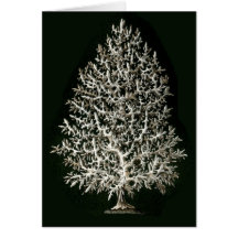 Leucosolenia Greeting Card