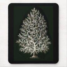 Leucosolenia Mousepad