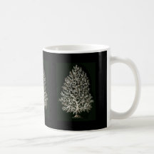 Leucosolenia Mug