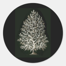 Leucosolenia Sticker
