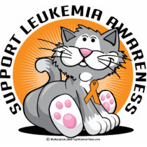 Leukemia Cat photo sculptures