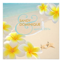 Leus /beach/starfish del Plumeria de PixDezines tr Comunicado