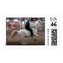 Levade, no saddle. postage by ArabianRidingSchool Levade, no saddle. postage