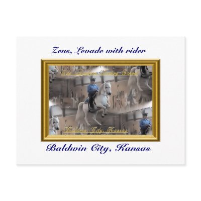 Levade postcard by alholloway