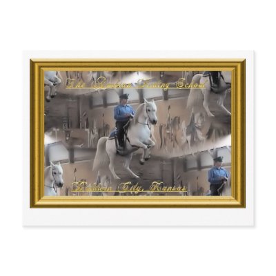 Levade with rider Postcard by ArabianRidingSchool