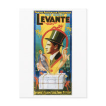 Levante ~ The Great Vintage Magic Act Postcards