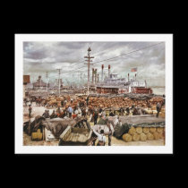 Levee at Canal Street New Orleans 1900 postcards