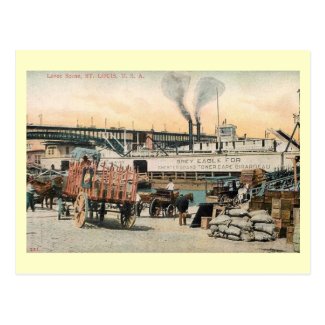 Levee Scene, St. Louis, Missouri Vintage Postcard