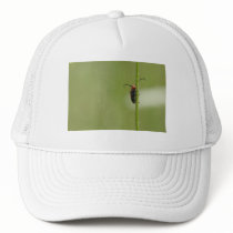 level up hats by blacqbook level up hats