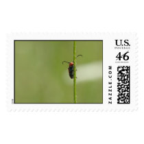level up postage by blacqbook level up postage