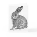 Leveret cards
