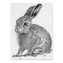 Leveret posters