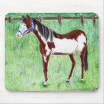Levi Paint Horse Mousepad