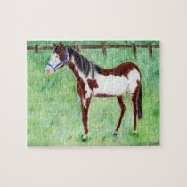 Levi Paint Horse puzzles