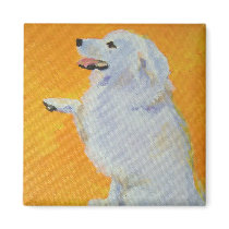 Levine’s Bailey Fridge Magnet