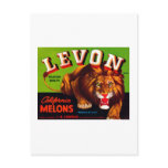 Levon California Melons Post Card