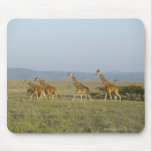 Lewa Wildlife Conservancy, Kenya Mouse Pad