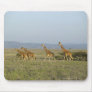 Lewa Wildlife Conservancy, Kenya Mouse Pad
