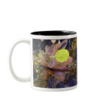 Lewis Creek Arrangement mugs