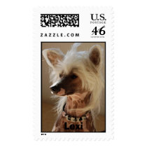 Lexi - Chinese Crested postage