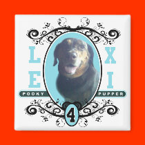 LEXI MAGNET magnets