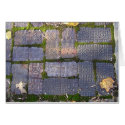 Lexington Brick Card by cityphotos Lexington Brick Card