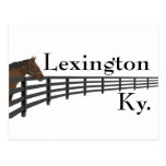 Lexington Kentucky Horse and Fence postcards
