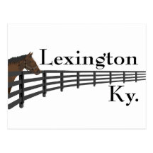 Lexington Kentucky Horse and Fence Postcards