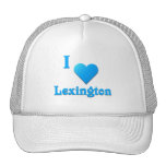 Lexington -- Sky Blue Mesh Hat
