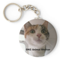 Lexus Key Chain