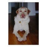 Lexy with Love Greeting Cards