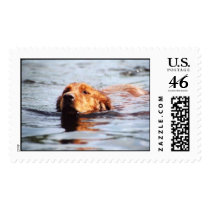LexyA021 postage