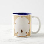 Leyenda de la taza del dólar de arena (sola imagen