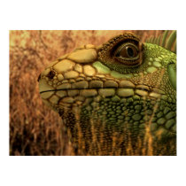 Lezard (no-frame) posters