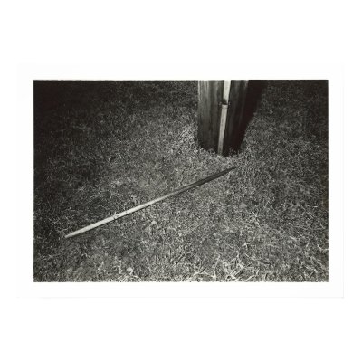 LF.Untitled.03 Poster by roberthager