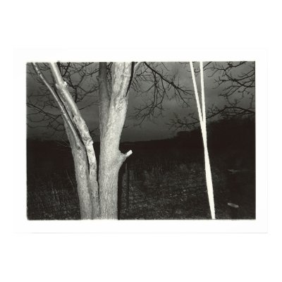LF.Untitled.05 Print by roberthager