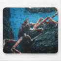 lg. saltwater crab mousepads