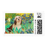 Lhasa Apso 4 - Irises postage