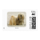 Lhasa Apso 8W062D-22 postage