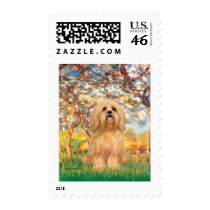Lhasa Apso 9 - Spring Postage Stamps