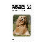 Lhasa Apso 9Y394D-104 postage