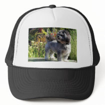 Lhasa Apso Bailey 1 Hat