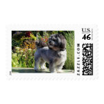 Lhasa Apso Bailey 1 postage