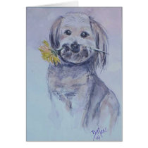 Lhasa Apso cards by acraftqueen Lhasa Apso cards