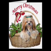 Lhasa Apso Christmas Card cards