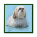 Lhasa Apso magnets