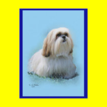 Lhasa Apso Postcard postcards