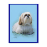 Lhasa Apso Postcard